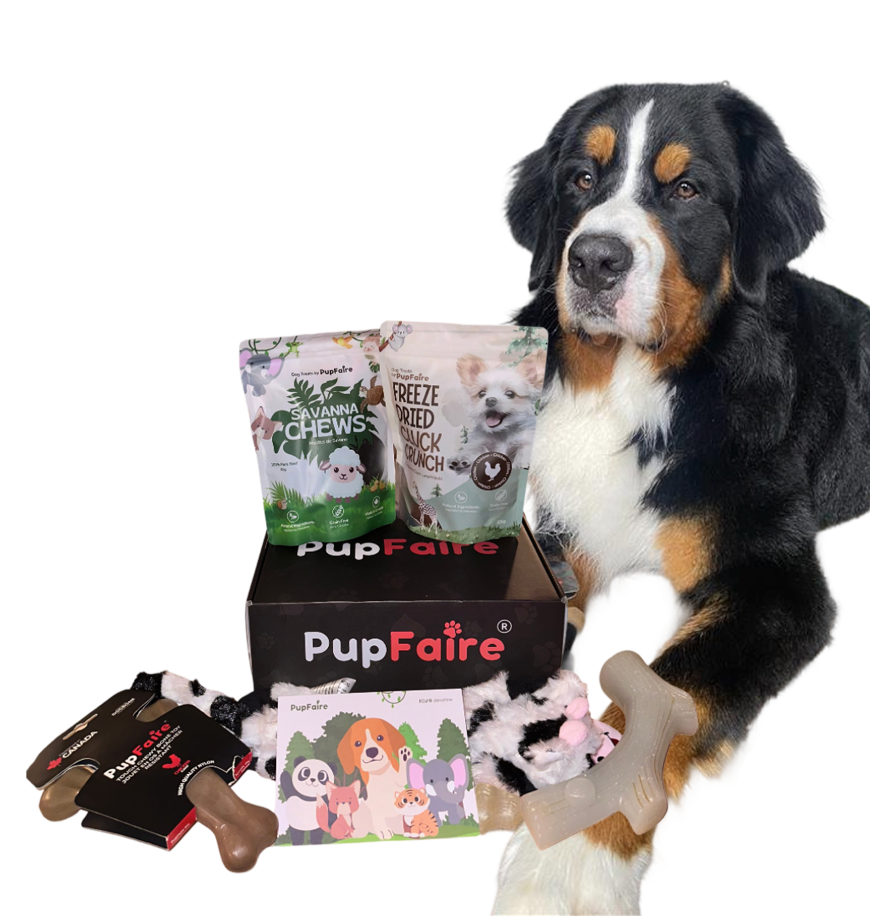 PupFaire Enrichment Box Mobile