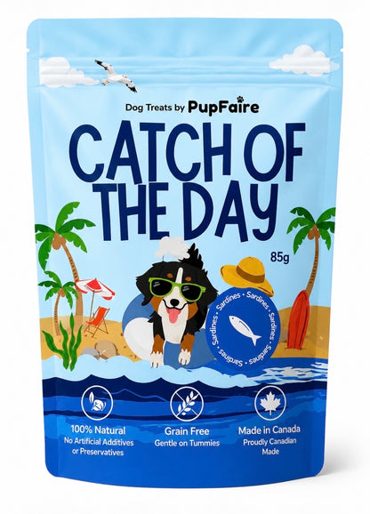 Catch of the Day – Sardines by PupFaire — 100% natural air-dried sardine dog treats, 85g