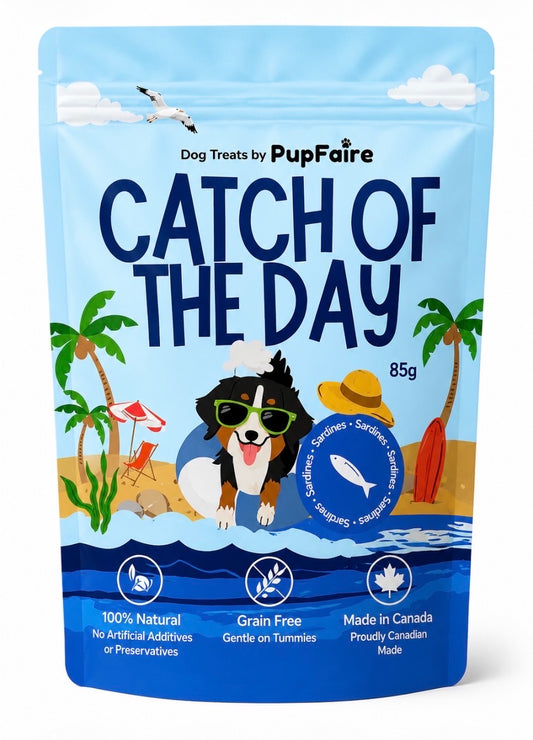 Catch of the Day – Sardines by PupFaire — 100% natural air-dried sardine dog treats, 85g